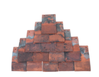 Binfield Continuos Nibs