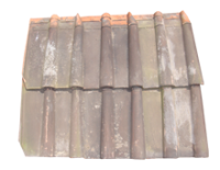 John Brown & Co Double Roman