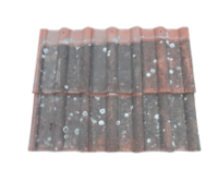 Redland 50 (Smooth Red)