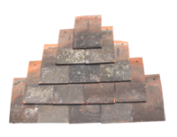 Warner Star Continuous Nib